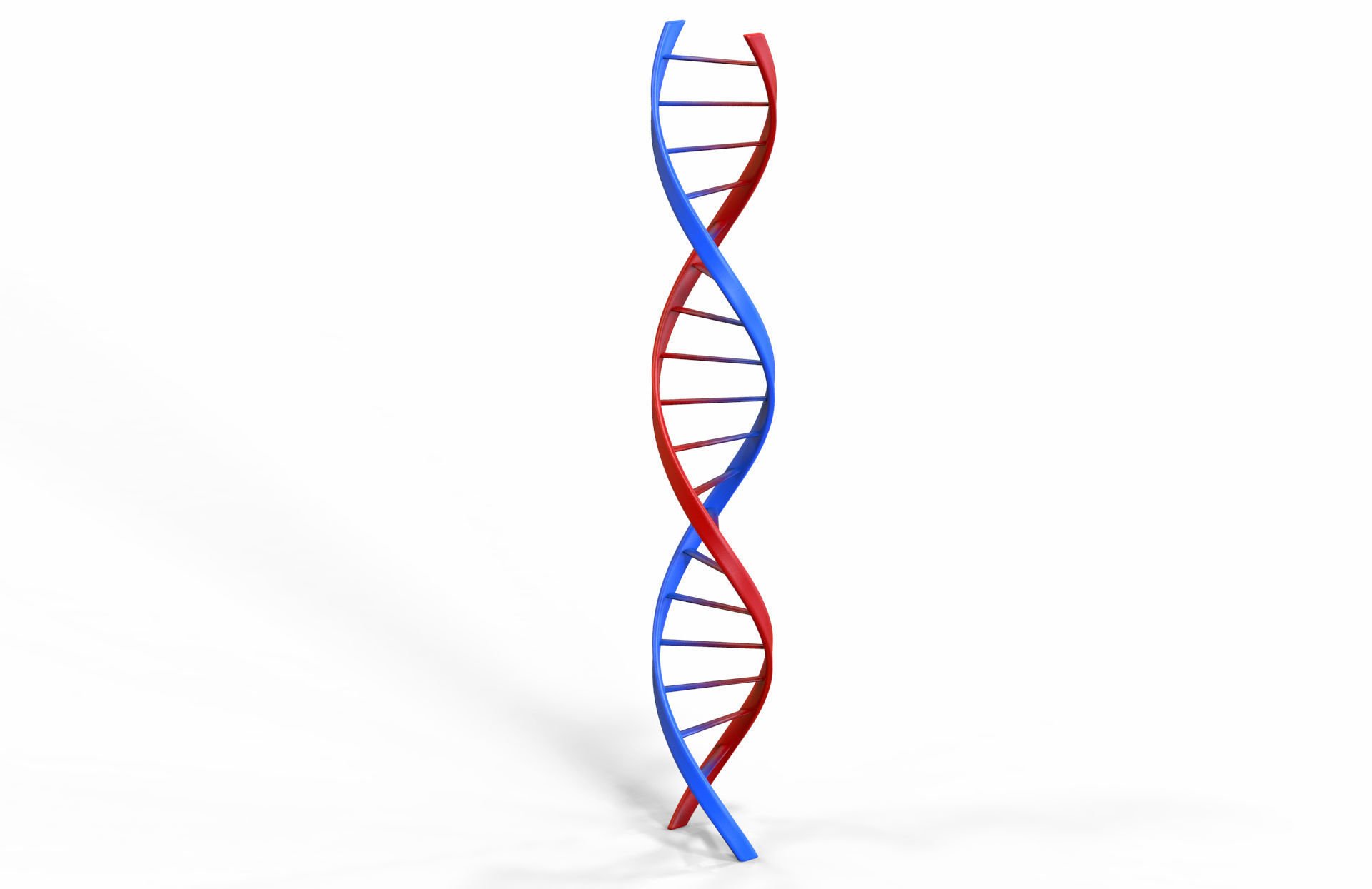 ДНК 3д модель. Двуспиральная модель ДНК. ДНК 3. Молекула ДНК 3d.