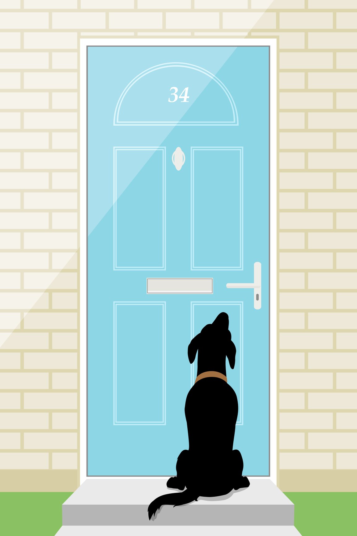 Собака закрывает дверь. Собака за дверью. Собака ждущая возле двери. Собака под дверью. Входная дверь с окном для собаки.