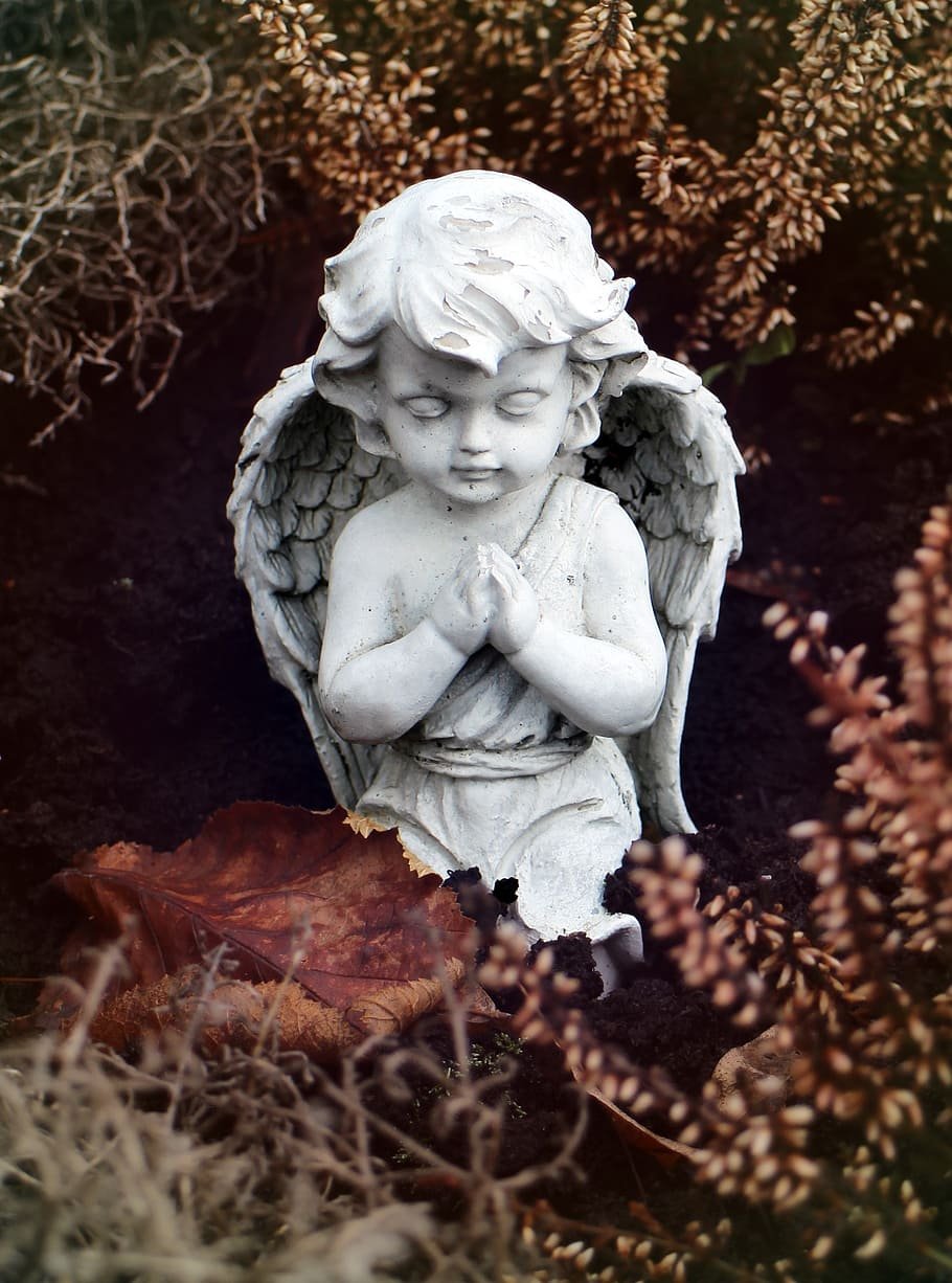 Эдиты статуи ангела