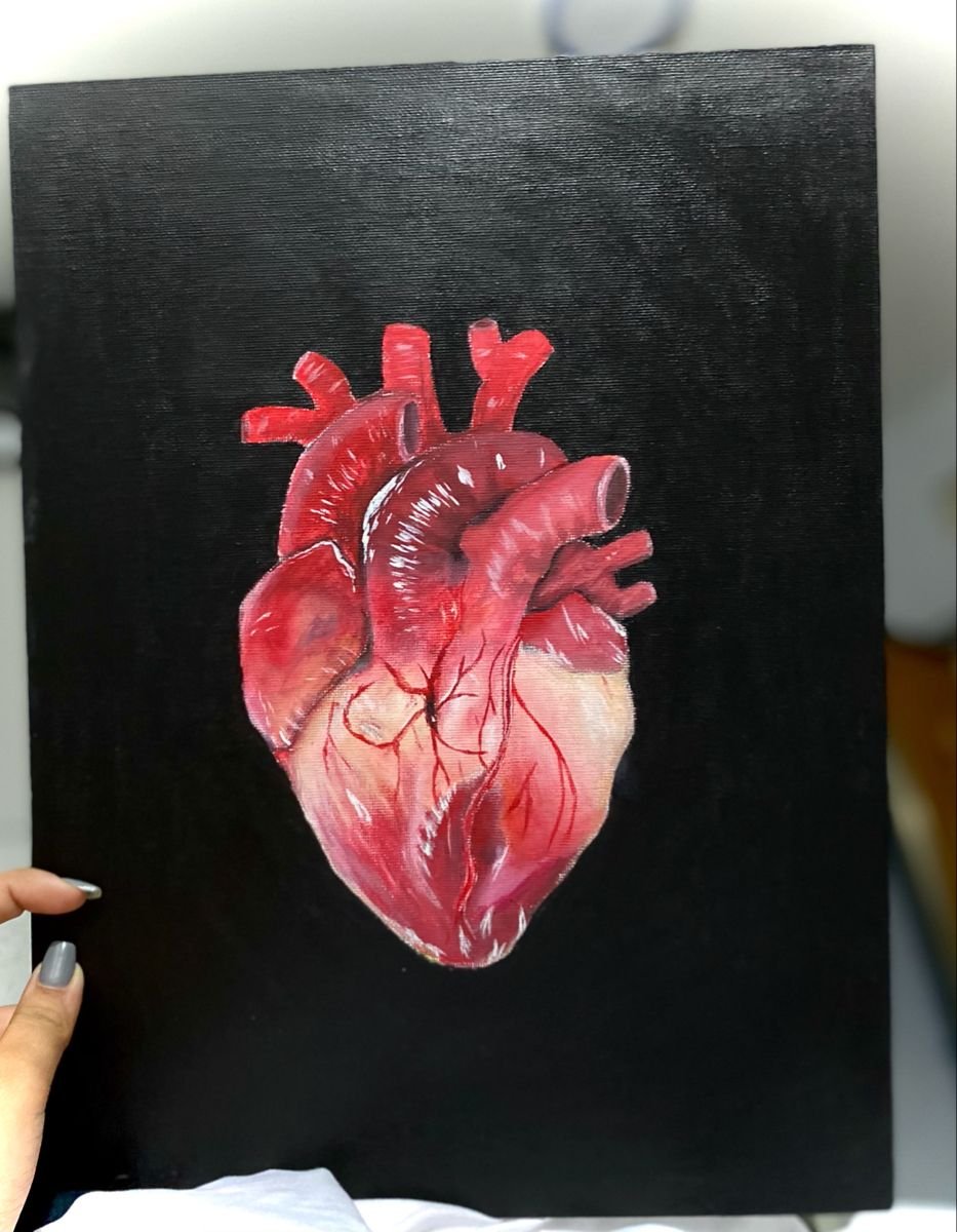 Вышивка сердце Анатомическое гладью