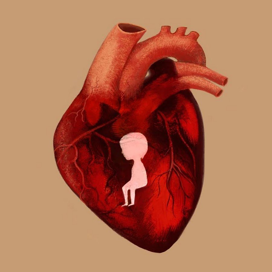 Сердце человека анатомия 3d модель