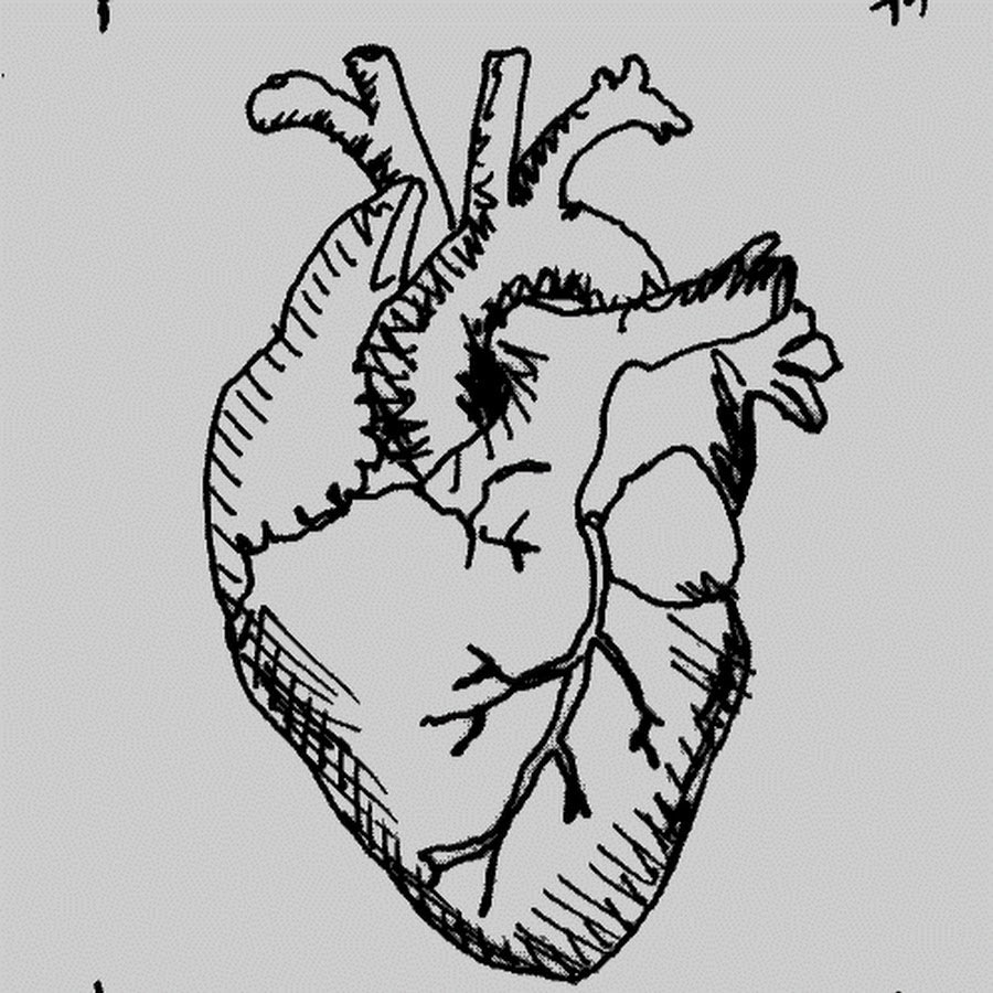 Сердце человека значок