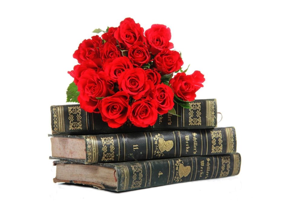 Букет цветов и книга