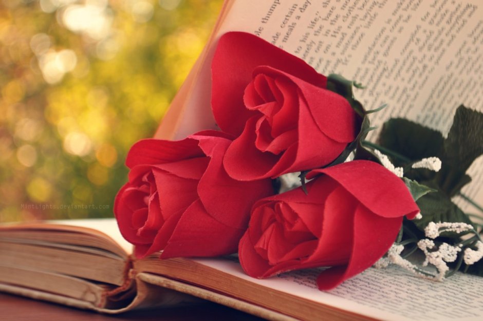 Красивый букет цветов с книгой