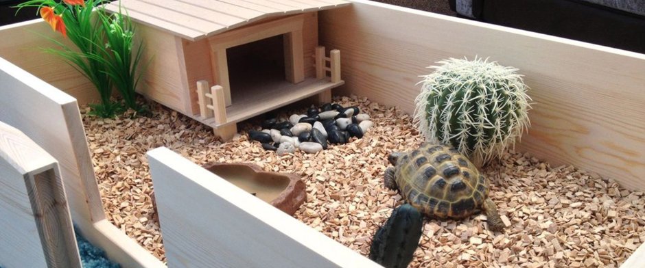 Террариум для черепахи Turtle House