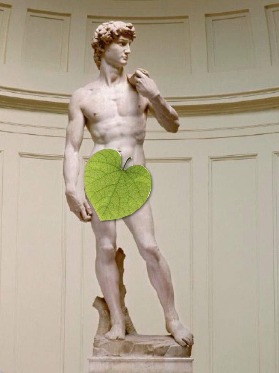 Давид Микеланджело с листочком