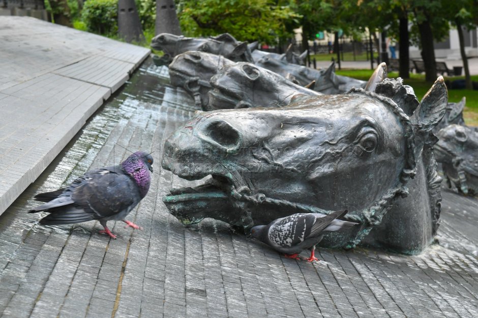 Памятник Михаилу Шолохову в Москве