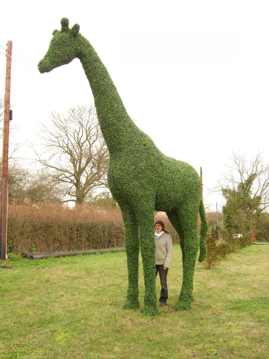 Скульптура Жирафенок зик