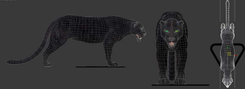 Черная пантера животное Ягуар
