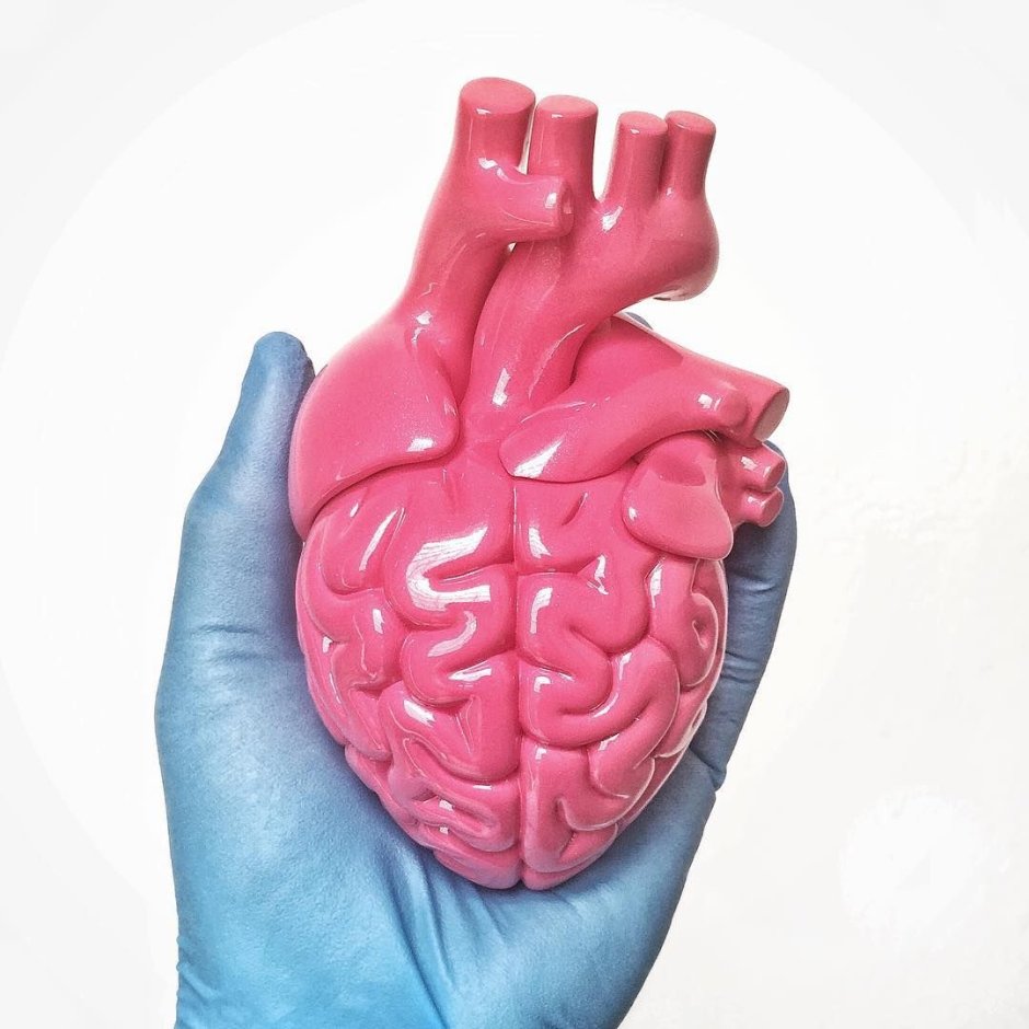 Сердце Анатомическое фигурка
