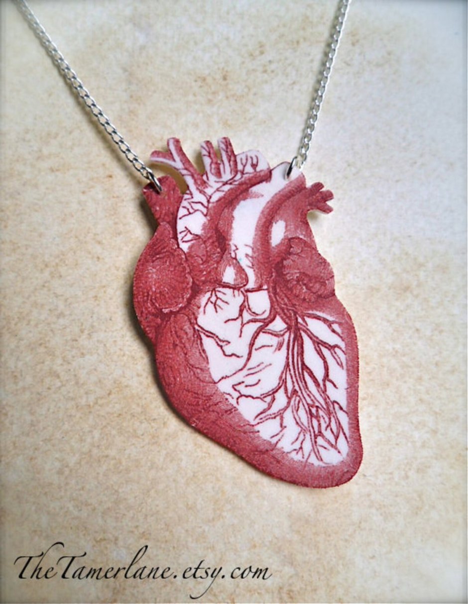 Плюшевое Анатомическое сердце