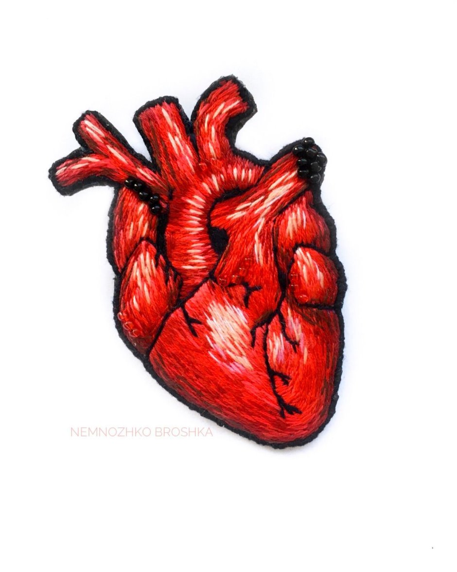 Анатомическое сердце из бумаги