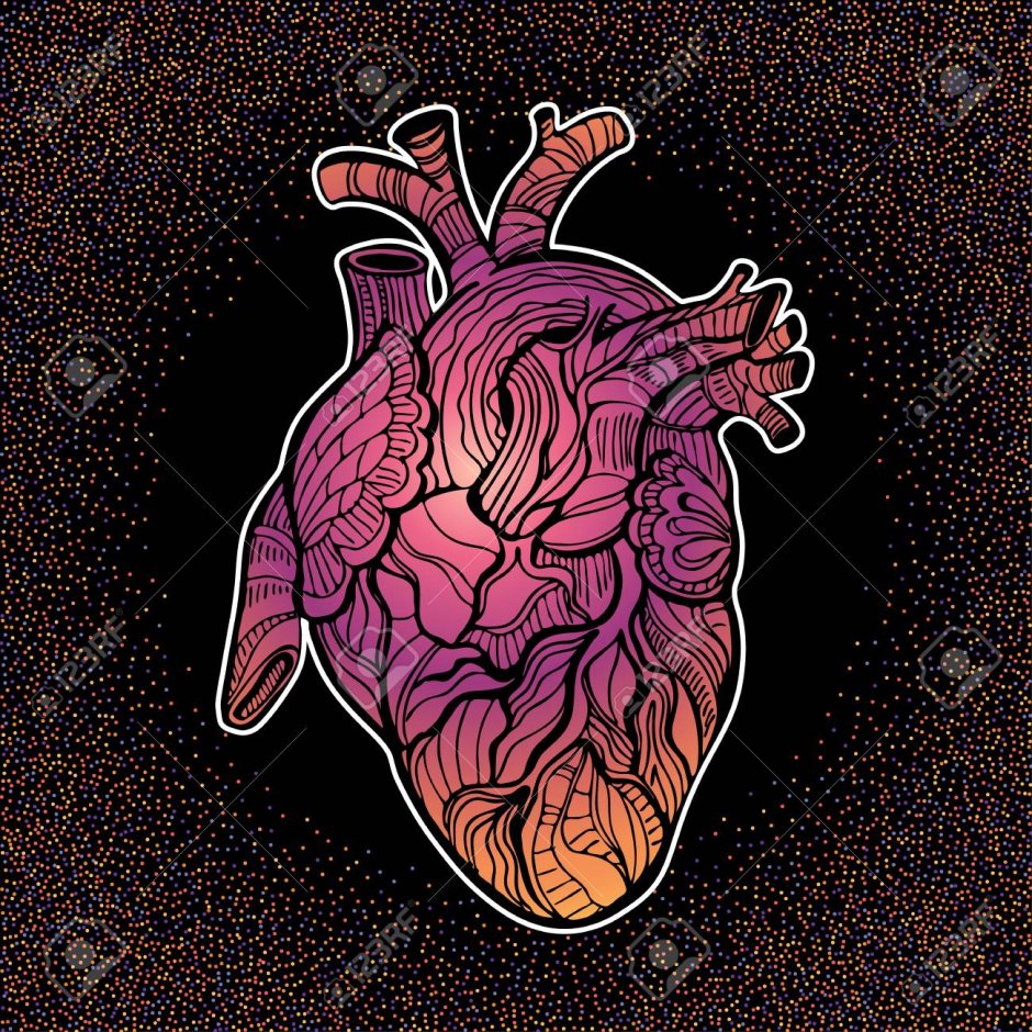 Сердце человека рисунок тату