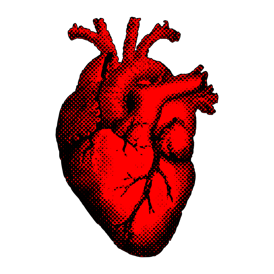 Компьютерная модель сердца человека