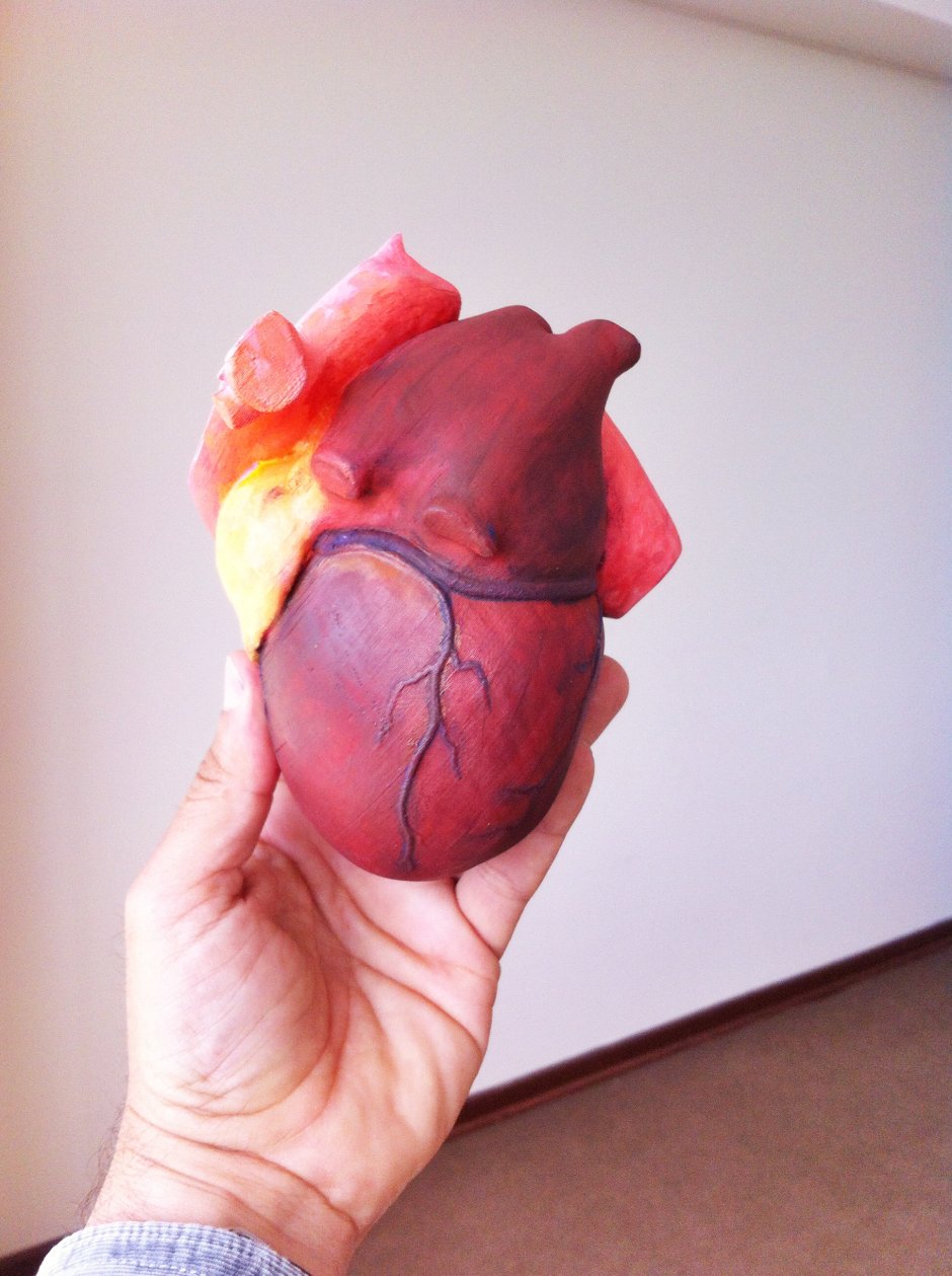 Силиконовая форма Анатомическое сердце