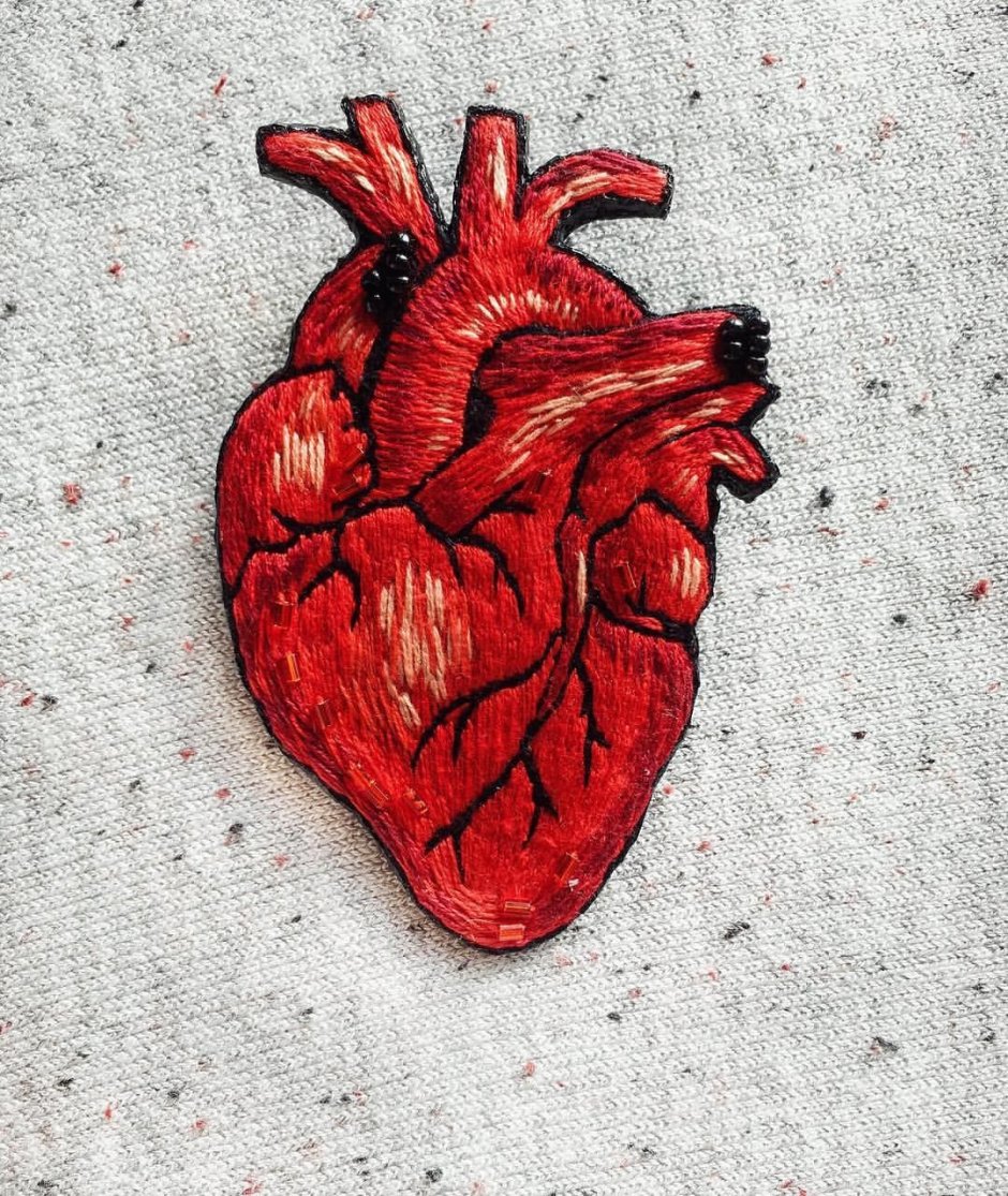 Сердце человека настоящее