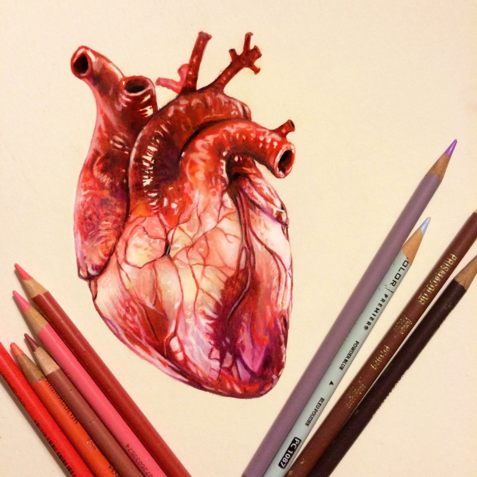 Брошь Анатомическое сердце вышивка