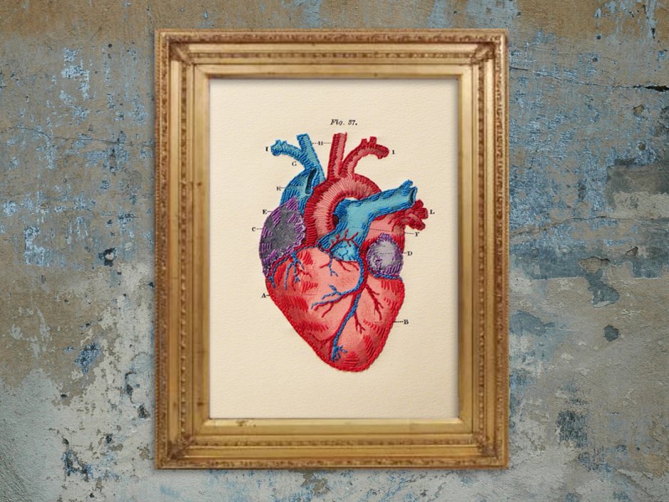 Сердце арт