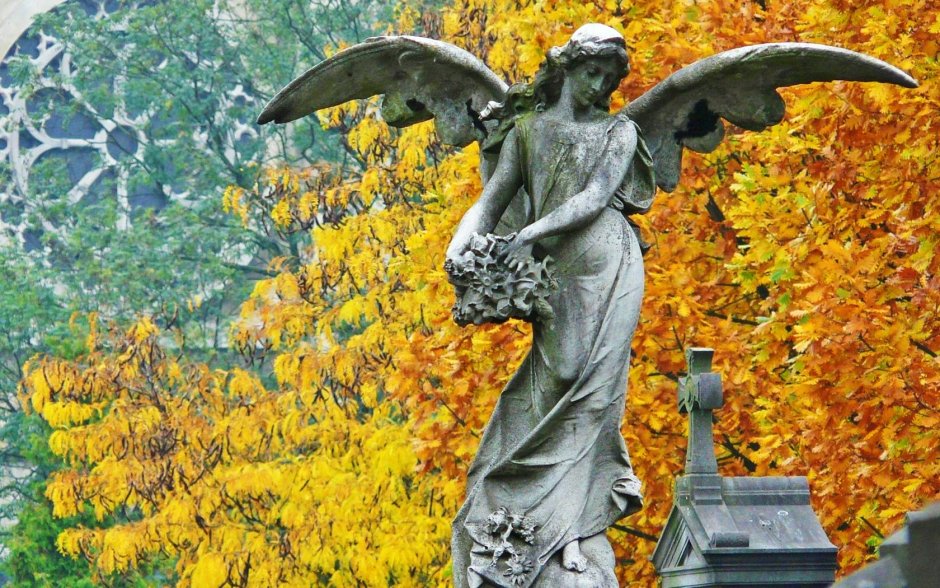 Петергоф статуи ангелов