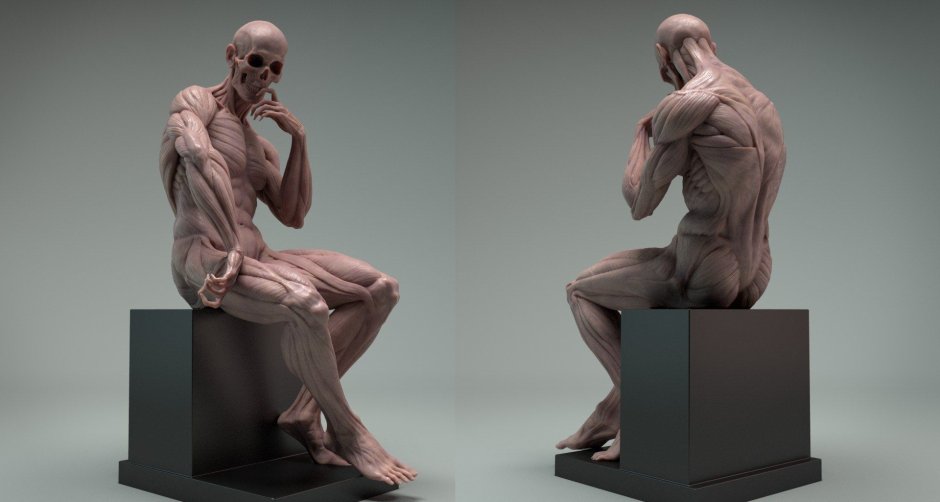 Анатомическая скульптура