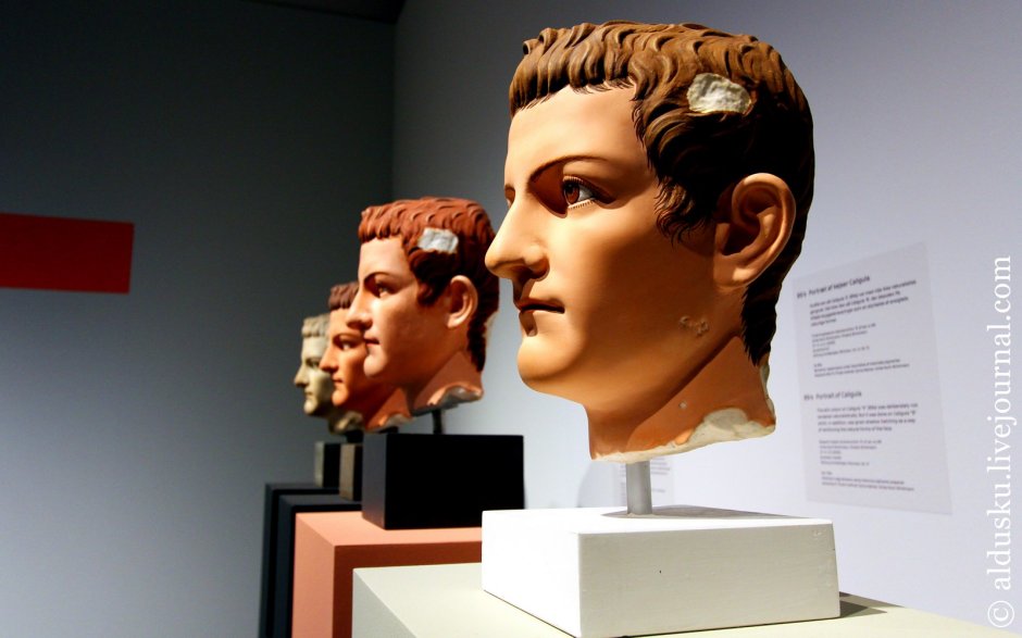 Давид скульптура Микеланджело лицо