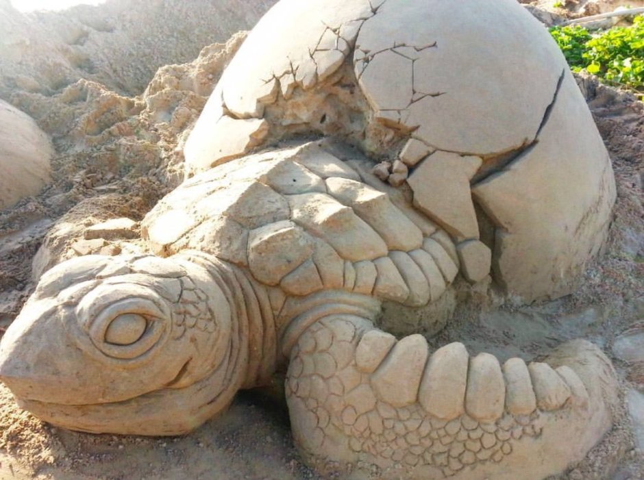 Скульптуры черепаха из глины