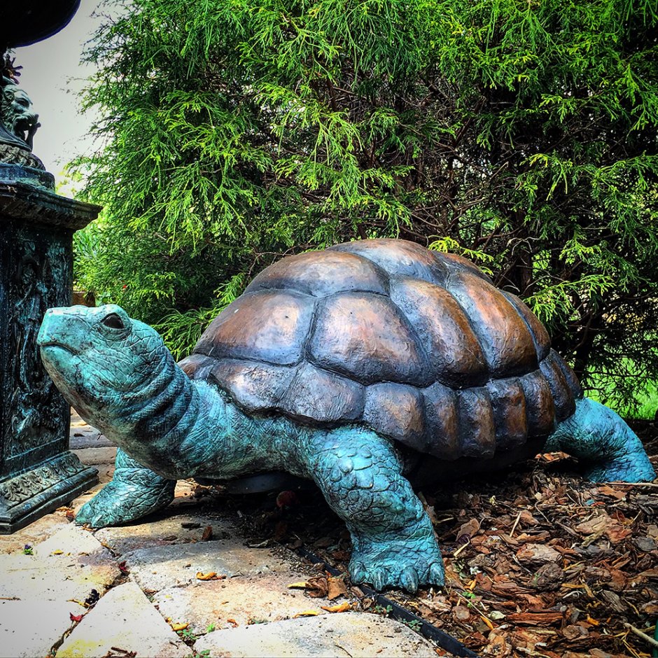 Памятник черепахе