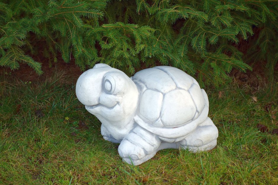 Черепаха в саду