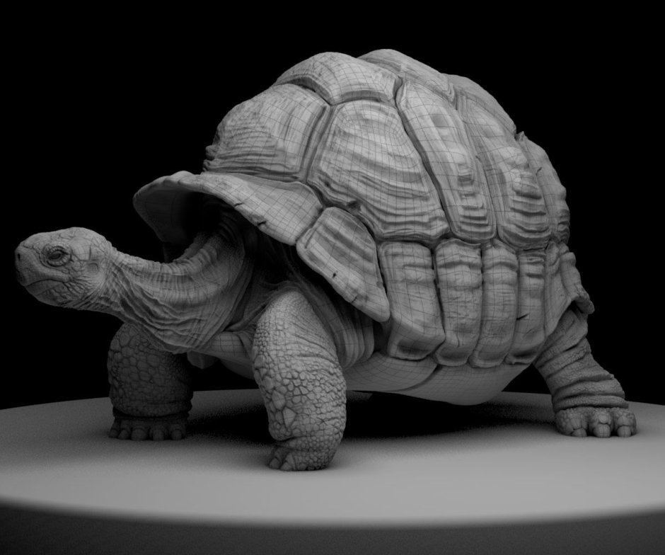Черепаха из скульптурного пластилина