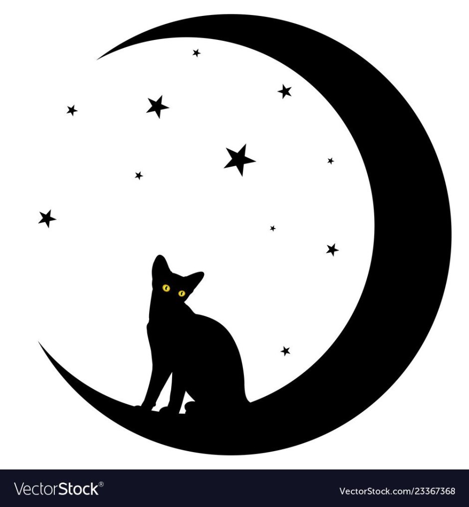 Кот и Луна