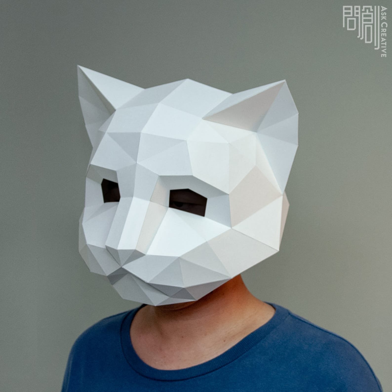 3д маска из бумаги. Паперкрафт Cat Mask. Маска пепакура. Объемная маска. Объемная голова.