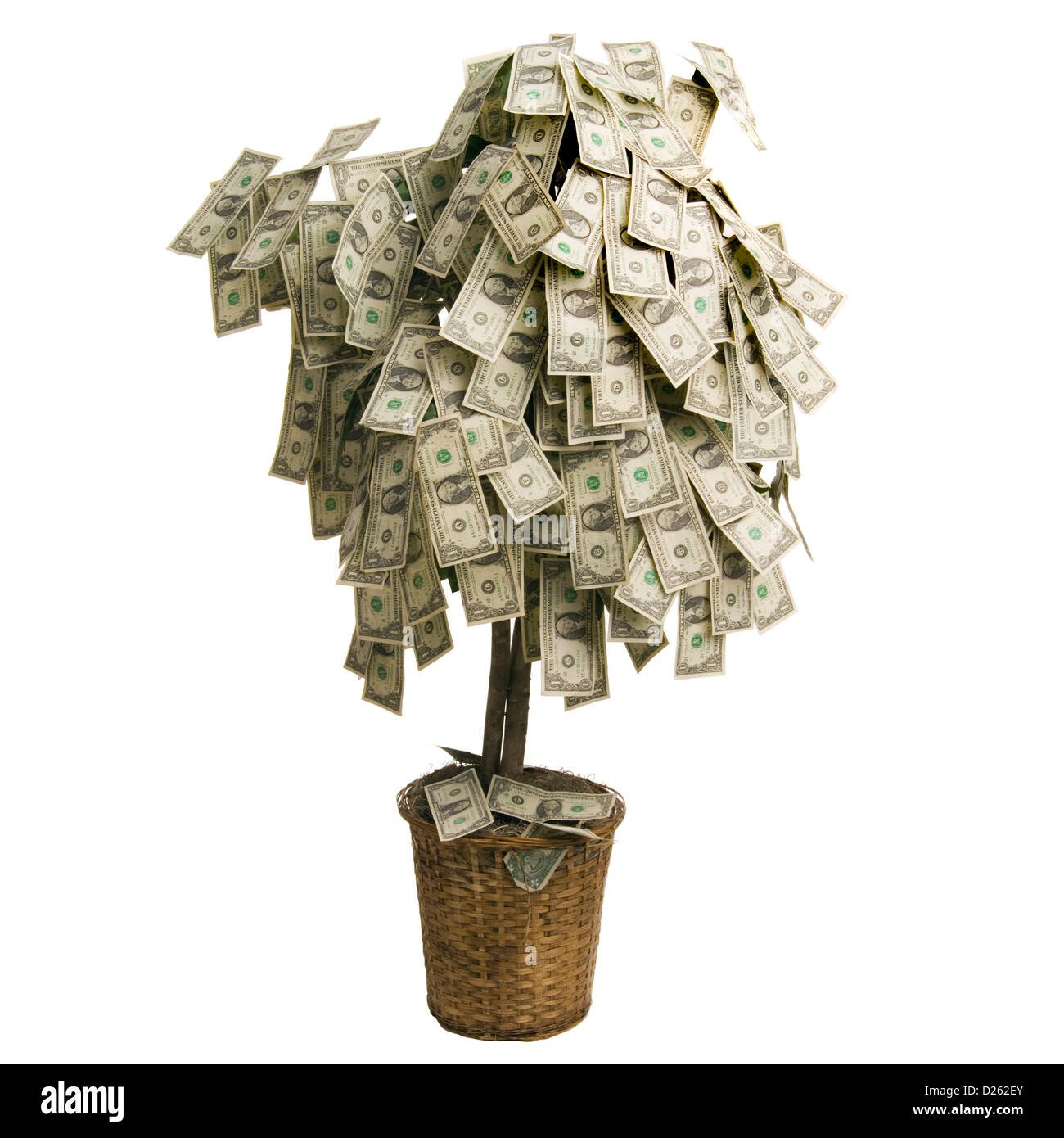 Дерево из купюр. Дерево из денег. Дерево с деньгами. Дерево из денег в подарок. Дерево с купюрами.