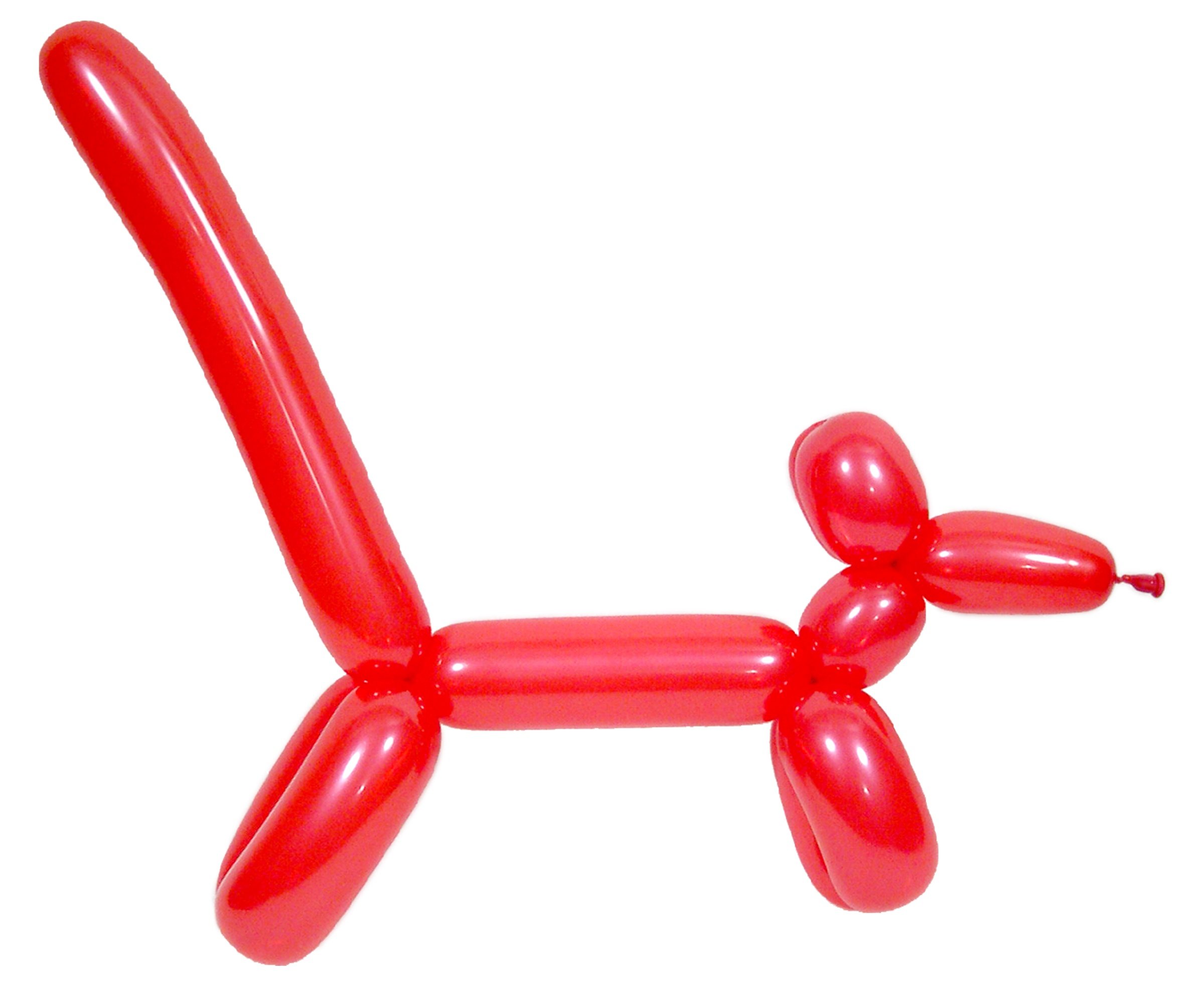 Собака из воздушного шарика. Собачка твистинг твистинг. Собака из ШДМ. Фигуры из воздушных шаров. Фигуры из шаров для моделирования.