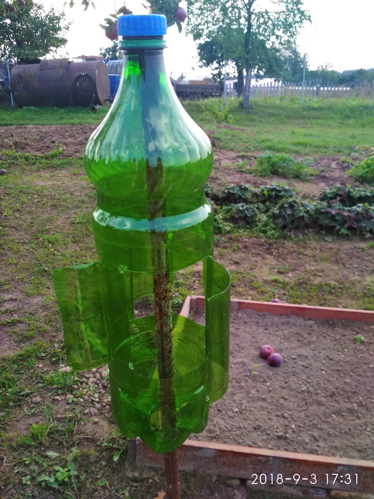 Пластиковая бутылка от кротов. Отпугиватель кротов вертушка. Отпугиватель птиц для сада из бутылок. Шумелки из пластиковых бутылок для огорода.