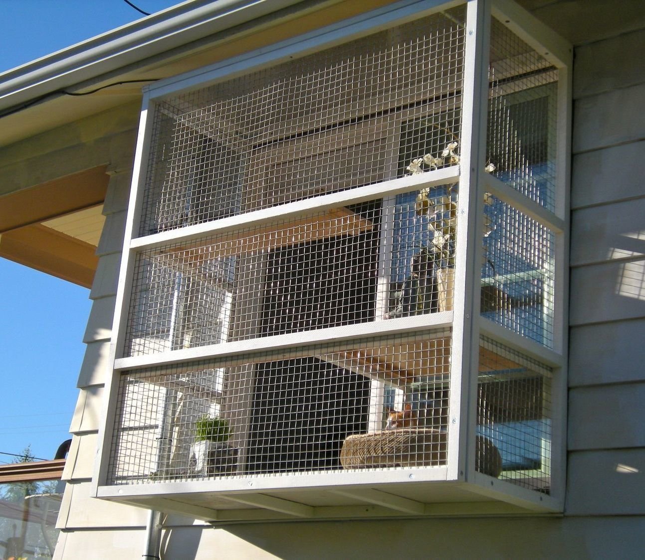 Кошачий балкон. Вольер антикошка. Клетка антикошка. Вольер антикошка для балкона. Вольер для кошек на балконе.