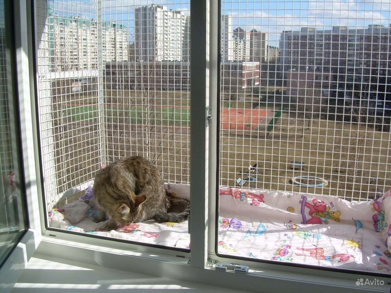 Балкон для кошек купить. Вольер антикошка. Клетка антикошка. Клетка антикошка для кошек на окно. Вольер антикошка для балкона.