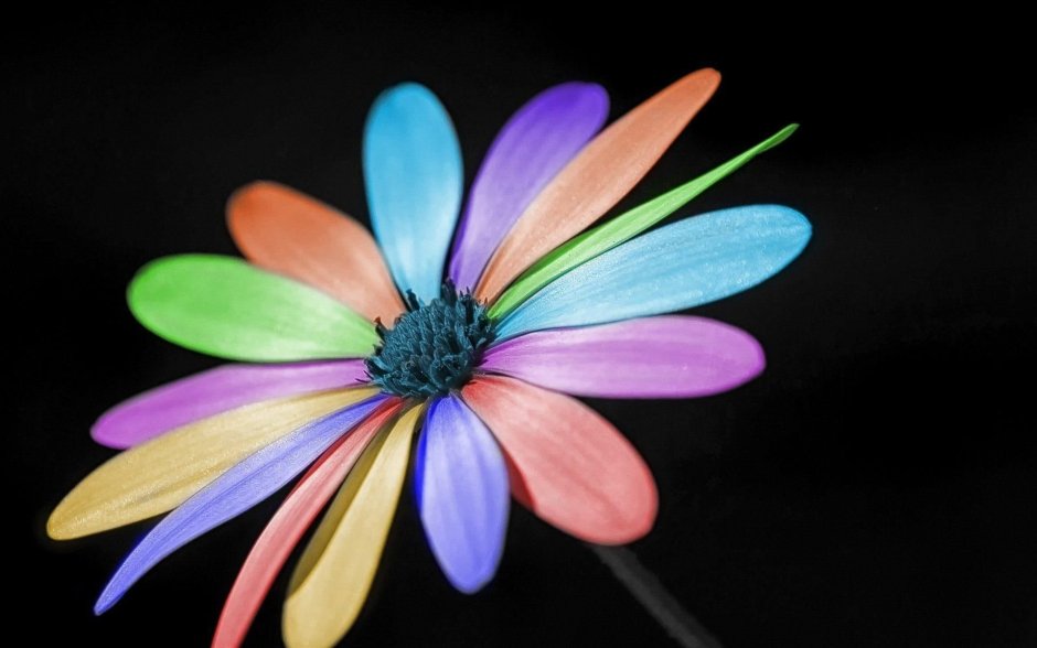 Цветик семицветик из пластилина