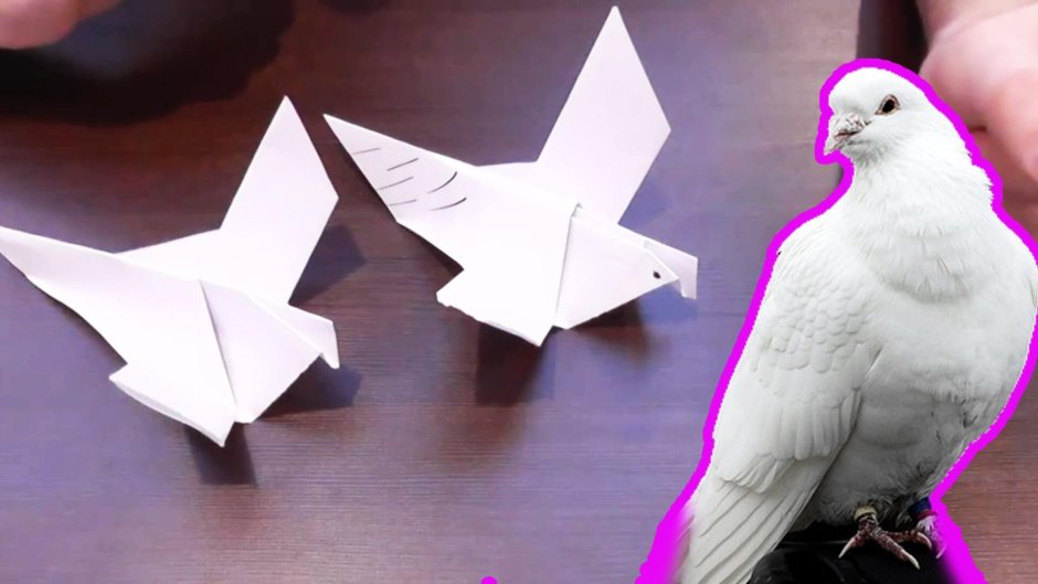 Оригами голубя из бумаги