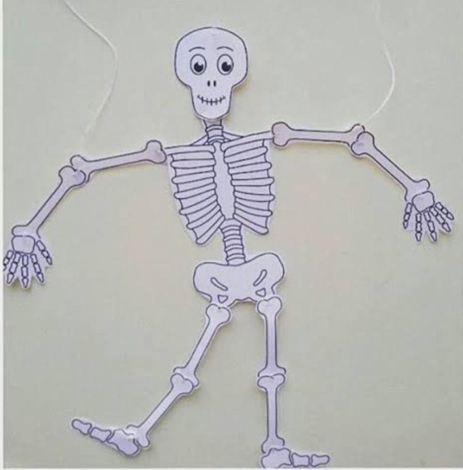 Скелет из бумаги