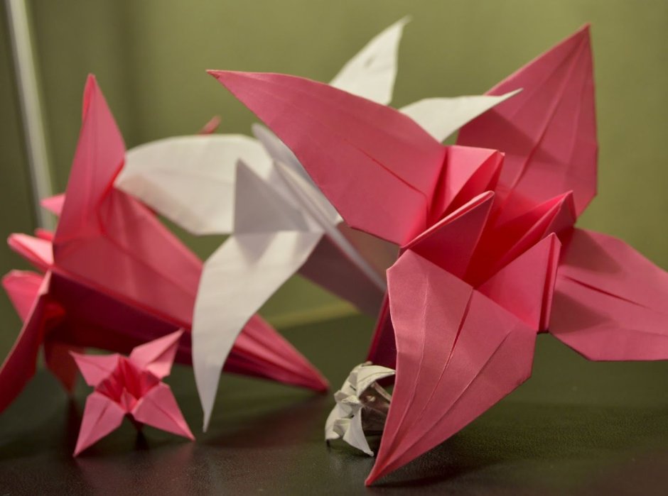 Gonzalo Garcia Calvo оригами