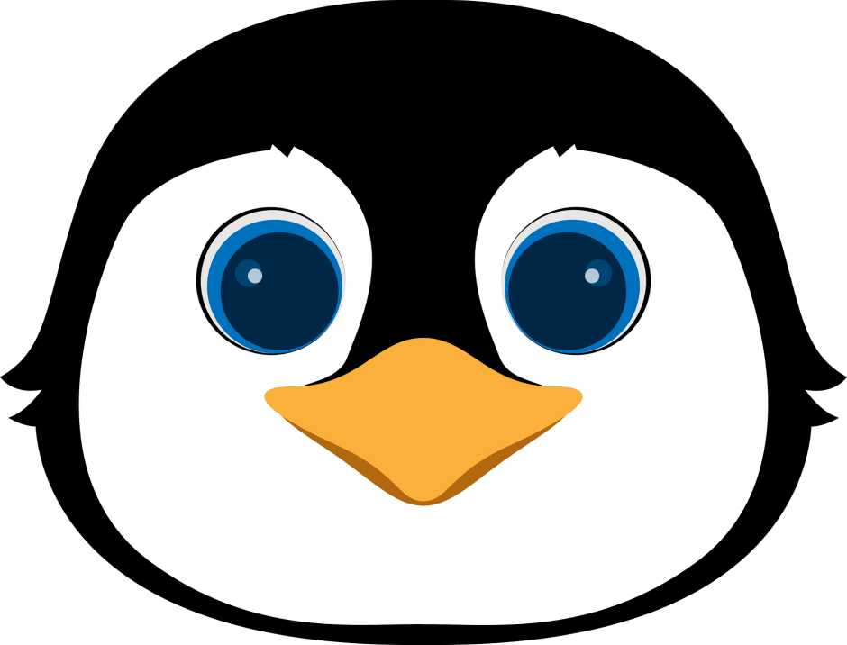 Аватарка Пингвин голова
