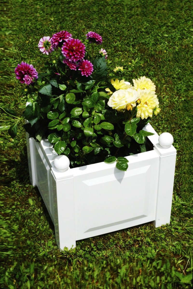 Beautiful boxes for flowers