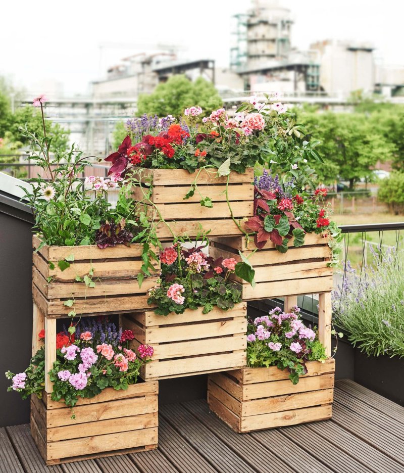 Wooden flower bed for flowers