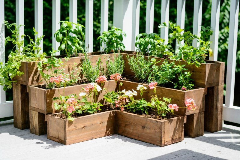 Beds of pallets