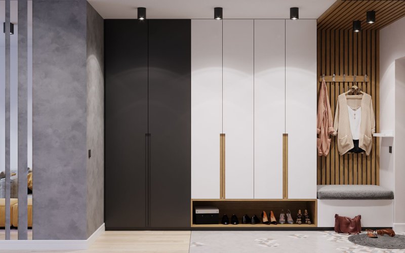 A cabinet in an entrance in a modern style