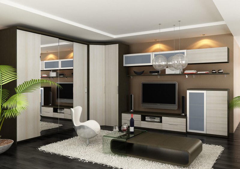 Living cabinets in a modern style