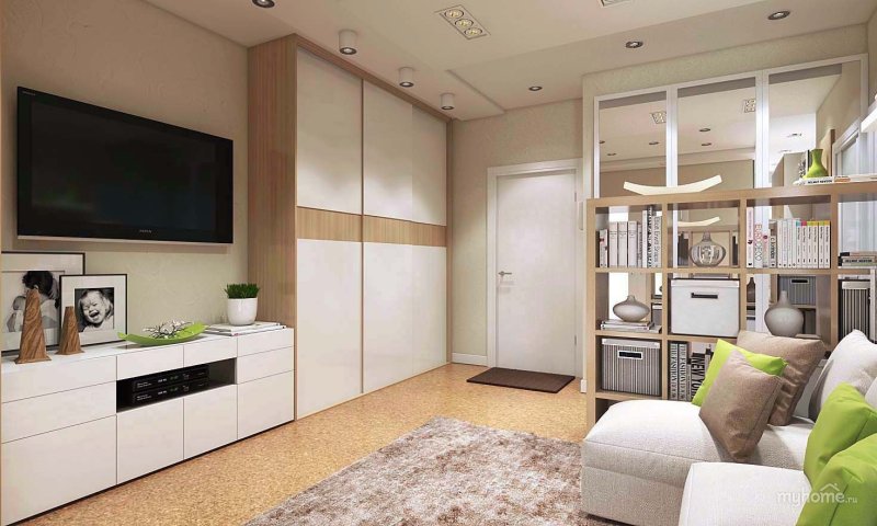 Cabinet in one -room apartment