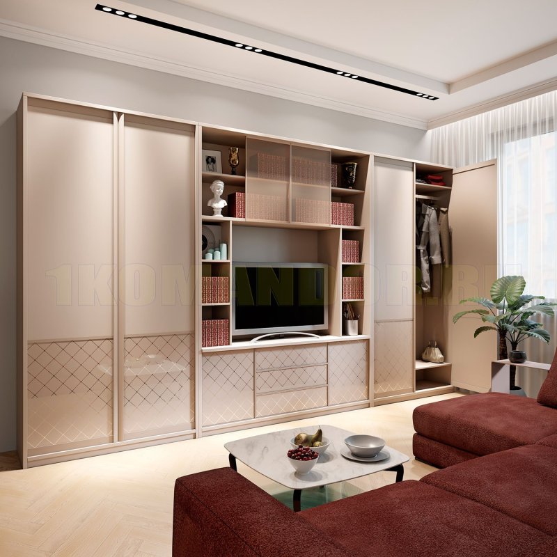 Living room wardrobe in modern