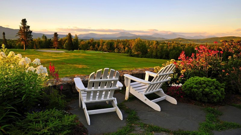 Beautiful garden in the country