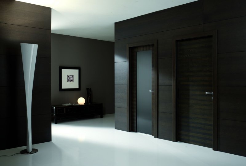 Doors in a modern interior